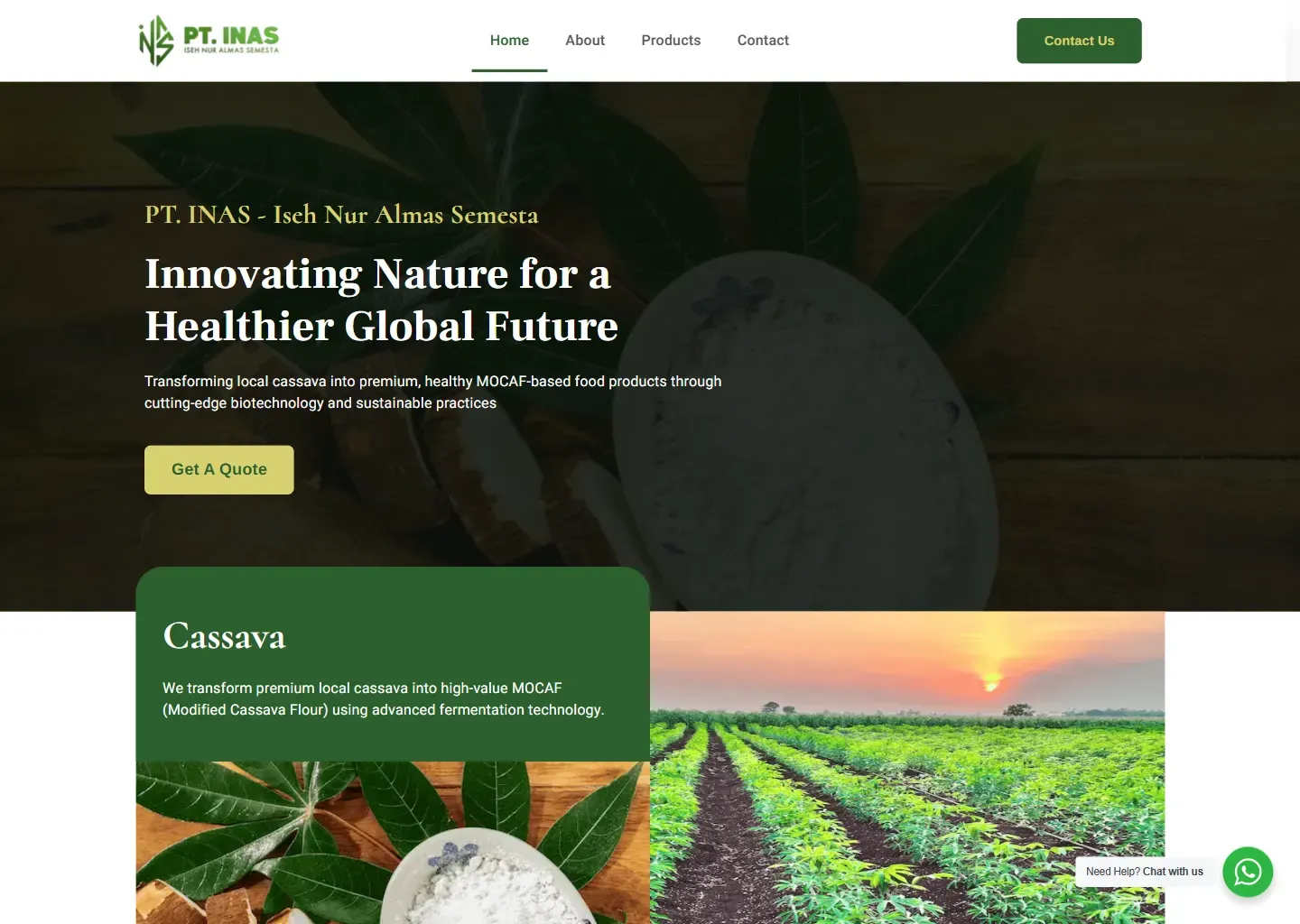 Screenshot of the PT INAS (Iseh Nur Almas Semesta) website