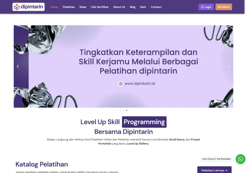 Screenshot of the Dipintarin website